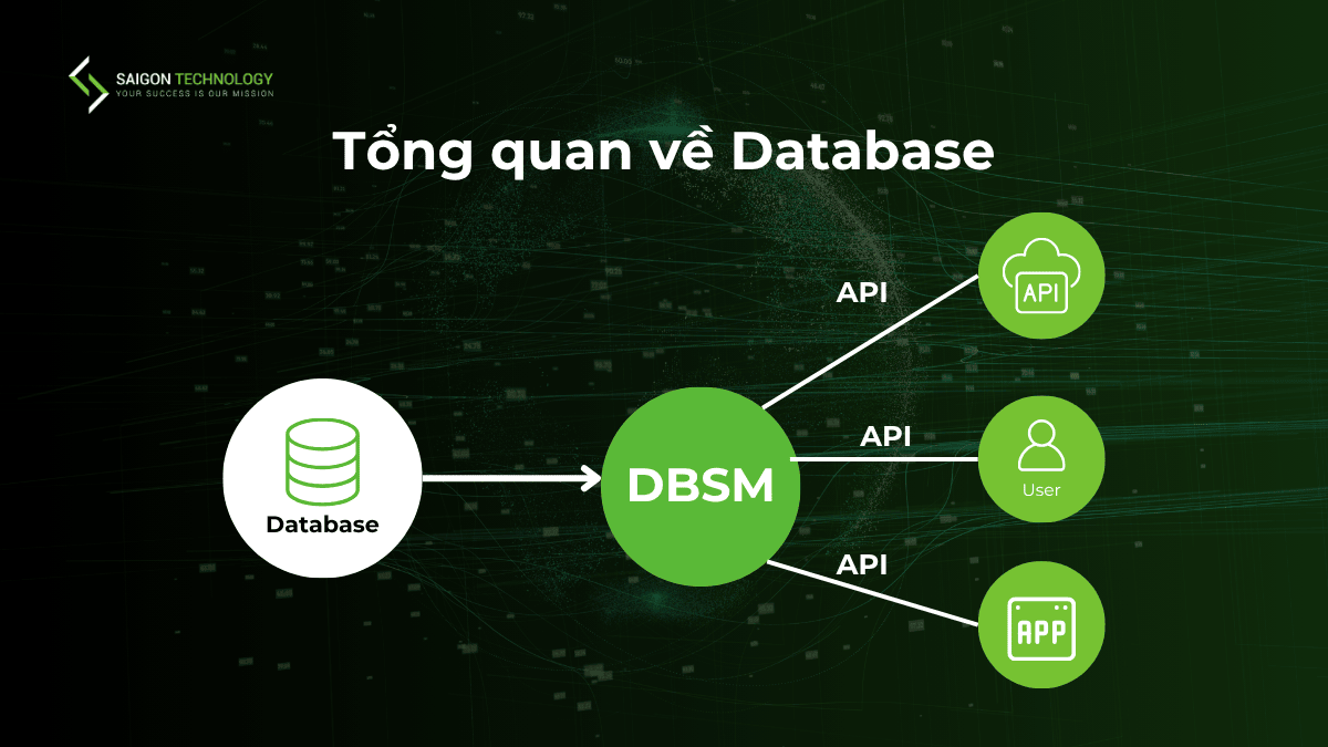 tổng quan về database